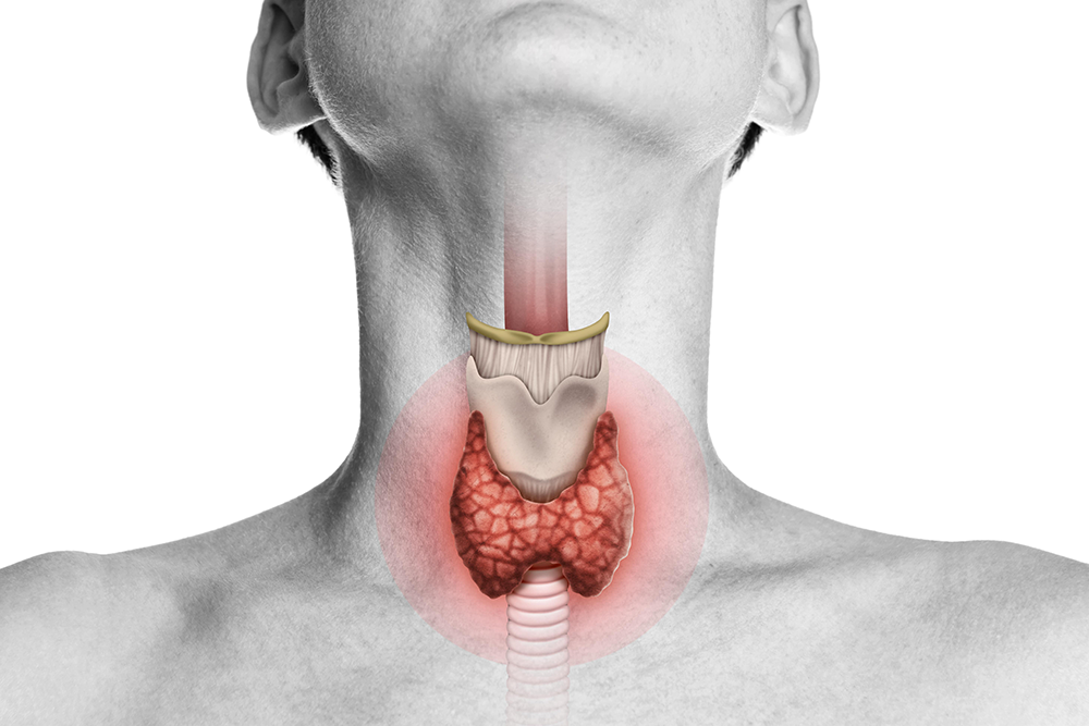 Thyroid-disorders